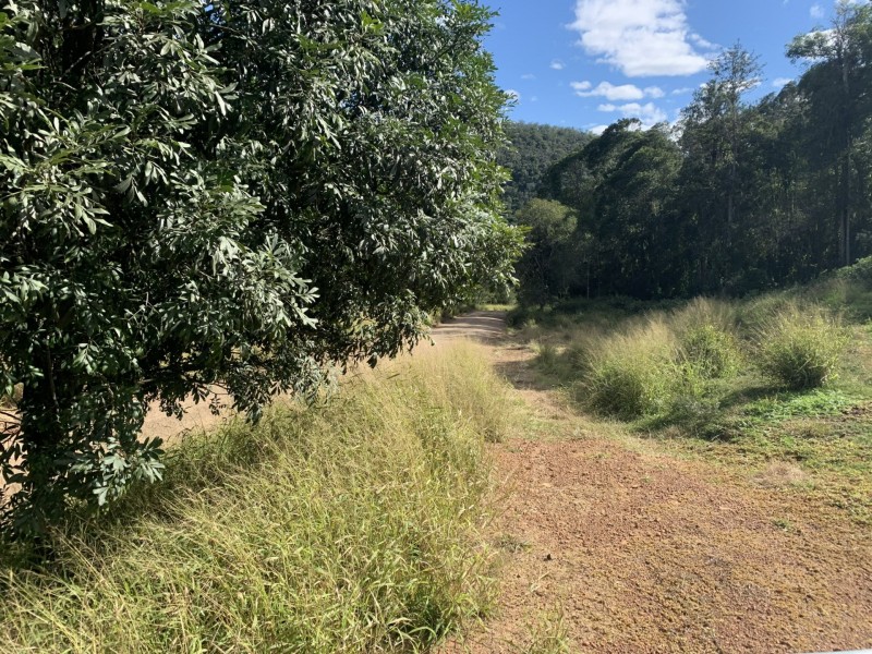 167 Sawpit Gully Rd, Rockmount QLD 4344