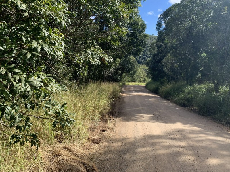 167 Sawpit Gully Rd, Rockmount QLD 4344