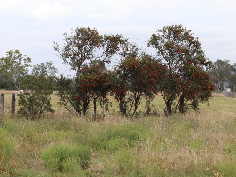 63 Keanes Rd, Rosewood QLD 4340