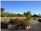 Laidley Heights QLD 4341