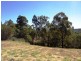 Laidley QLD 4341