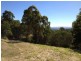 Laidley QLD 4341