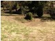 Laidley QLD 4341