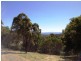 Laidley QLD 4341