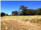 Laidley QLD 4341