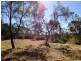 Laidley QLD 4341