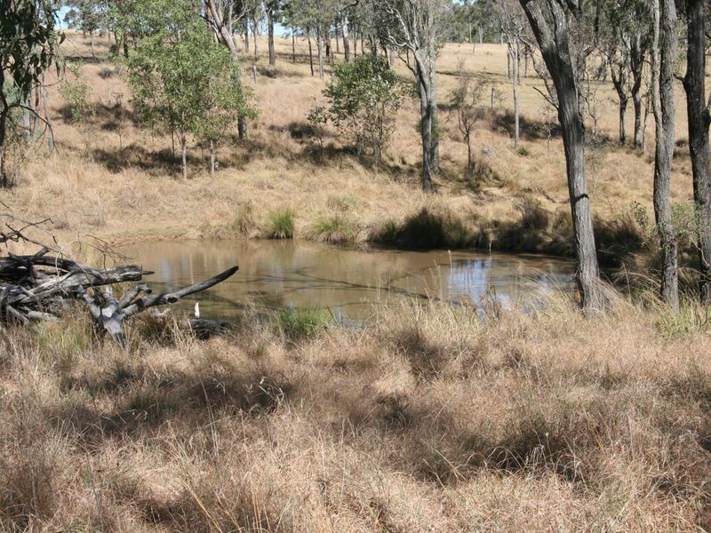 8 Forest Ridge Court, Mount Mort QLD 4340