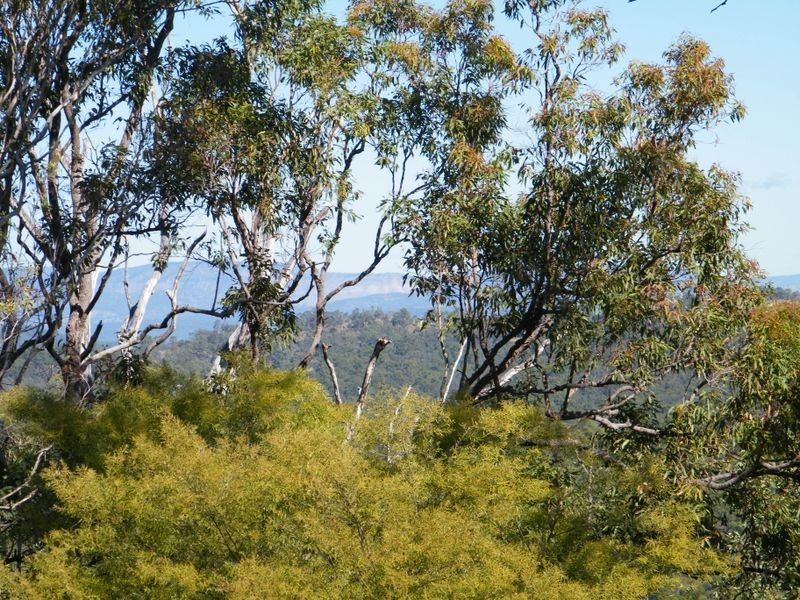 Summerholm QLD 4341