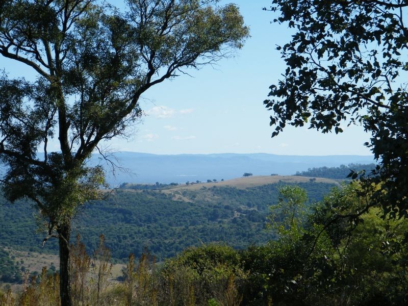 Summerholm QLD 4341