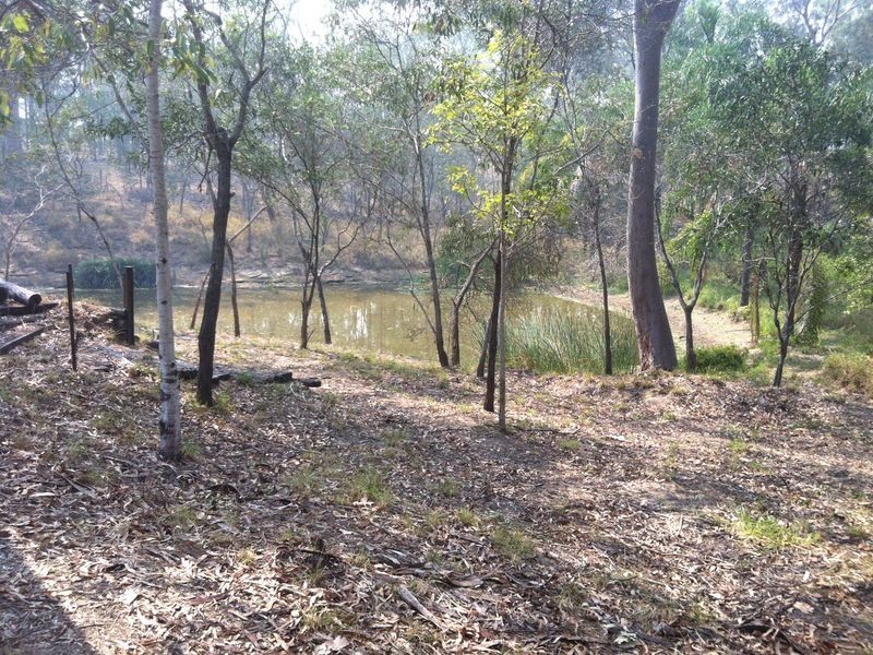 17 Lawrence Court, Regency Downs QLD 4341