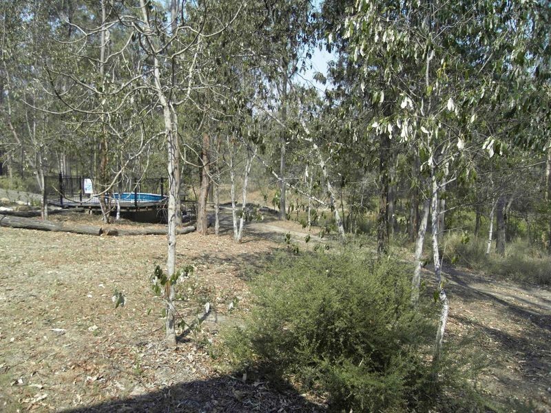 17 Lawrence Court, Regency Downs QLD 4341