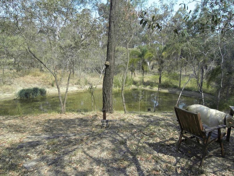 17 Lawrence Court, Regency Downs QLD 4341