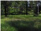 Regency Downs QLD 4341