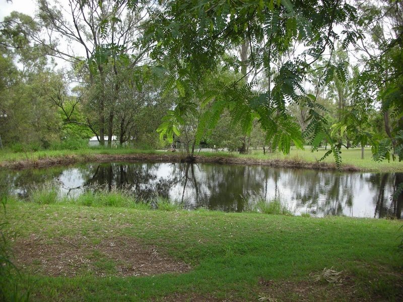 4 Boronia Court, Blenheim QLD 4341