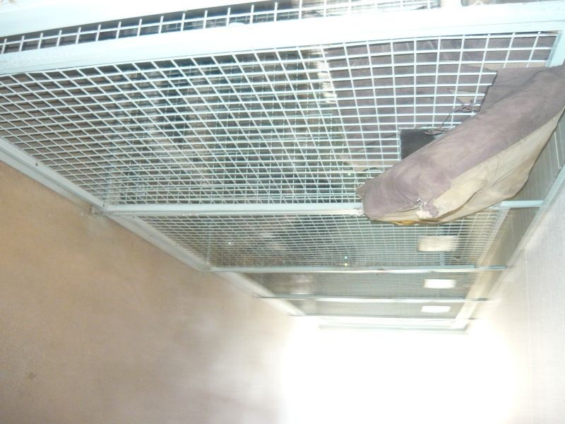 8 Wotan Road, Churchable QLD 4311