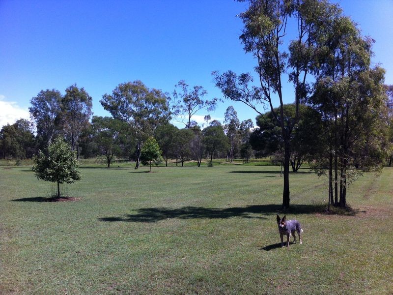 477 Gatton-Esk Road, Adare QLD 4343