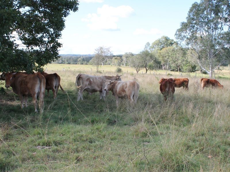 51 Long Gully Road, Summerholm QLD 4341