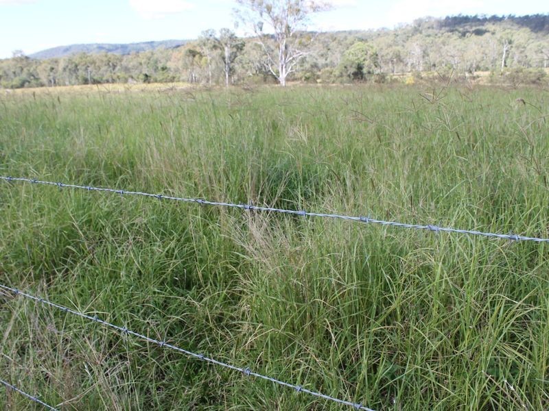 51 Long Gully Road, Summerholm QLD 4341