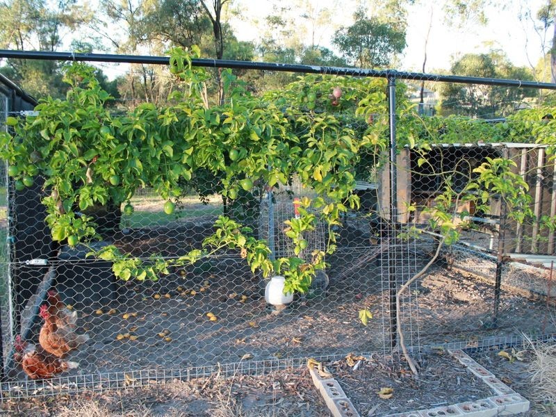 8 Eucalyptus Place, Regency Downs QLD 4341