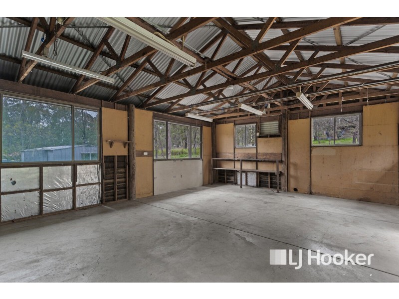 10b Firetail Avenue, Regency Downs QLD 4341