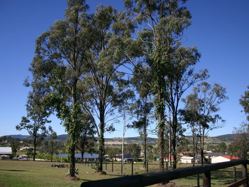 5 Harrington Court, Kensington Grove QLD 4341