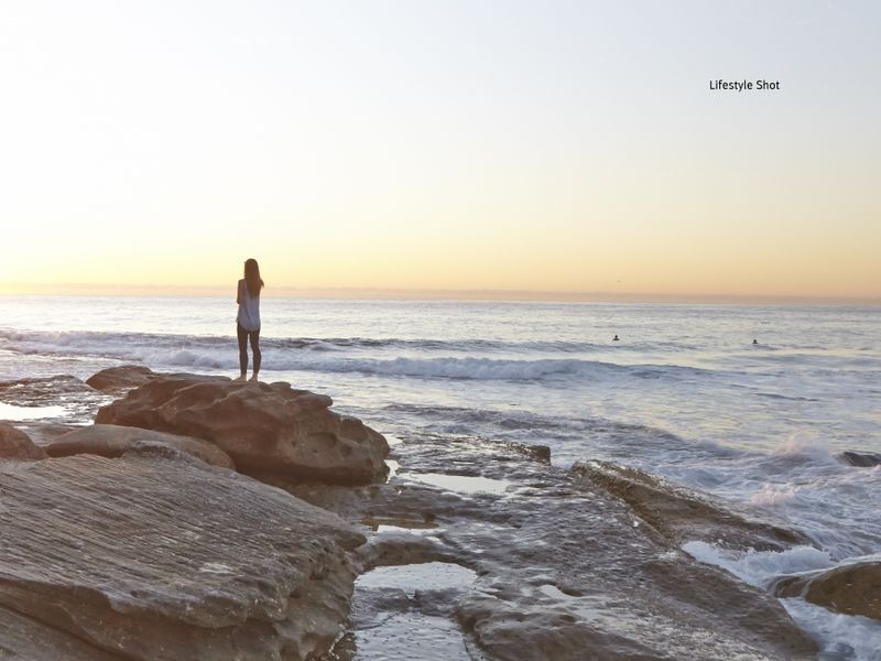 17 Wonderland Avenue, Tamarama NSW 2026