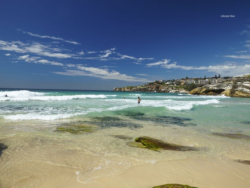 17 Wonderland Avenue, Tamarama NSW 2026