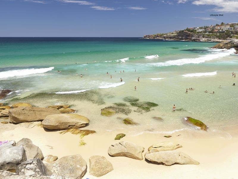 17 Wonderland Avenue, Tamarama NSW 2026