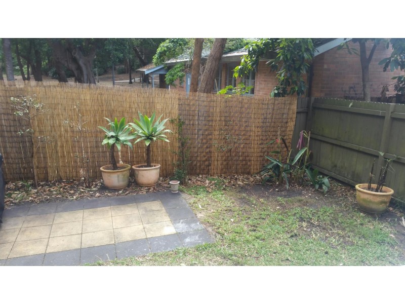 53 Simpson, Bondi NSW 2026