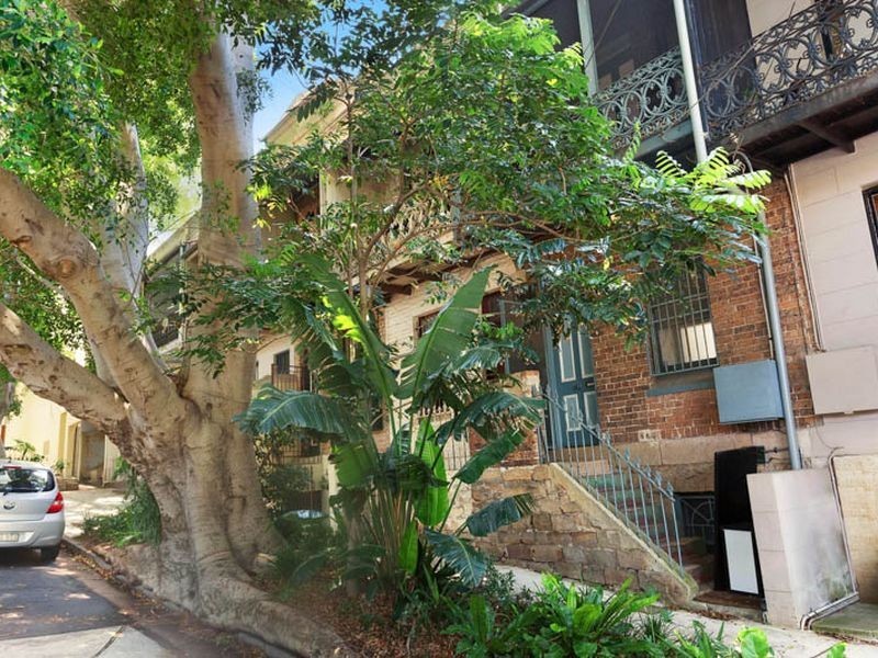 14 Selwyn Street, Paddington NSW 2021
