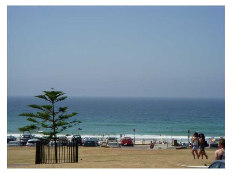 16/96 Curlewis Street, Bondi Beach NSW 2026