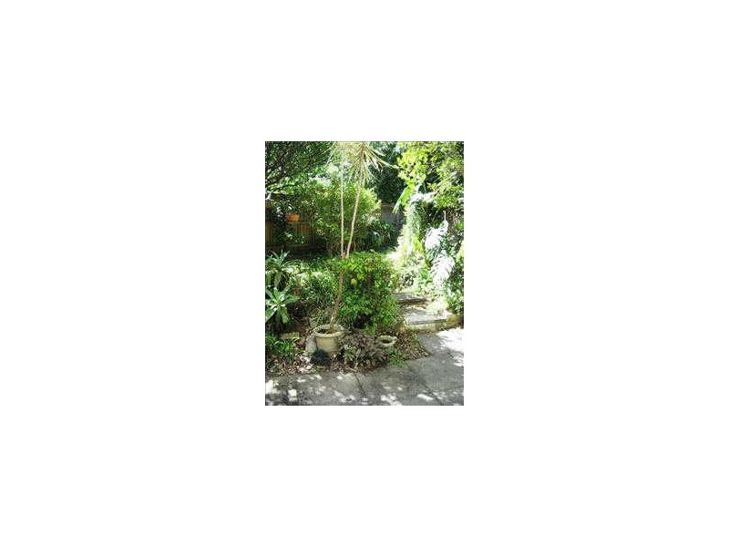 12/62 Ocean Street, Woollahra NSW 2025