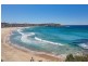 12/39-41 Denham Street, Bondi NSW 2026
