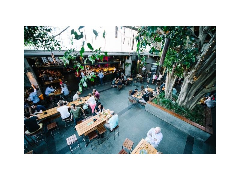 81/177 Bellevue Road, Bellevue Hill NSW 2023