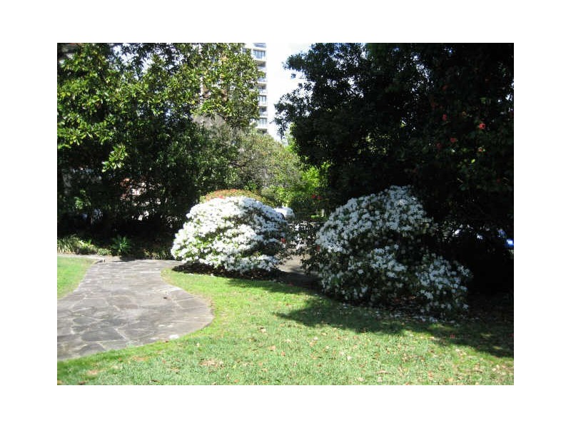 3/55A Darling Point Rd, Darling Point NSW 2027