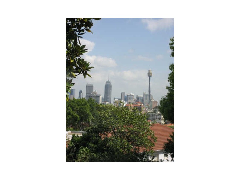 3/55A Darling Point Rd, Darling Point NSW 2027