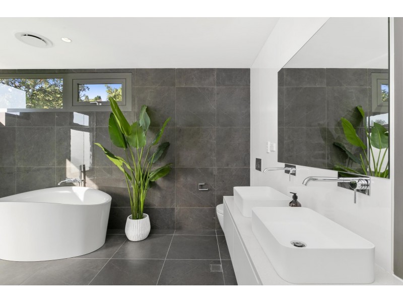 1/17 Carlotta Road, Double Bay NSW 2028