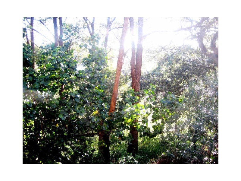 210/10 New McLean St, Edgecliff NSW 2027