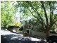 120 Wallis Street, Woollahra NSW 2025