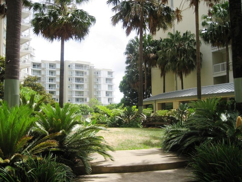 40 Refinery Drive, Pyrmont NSW 2009