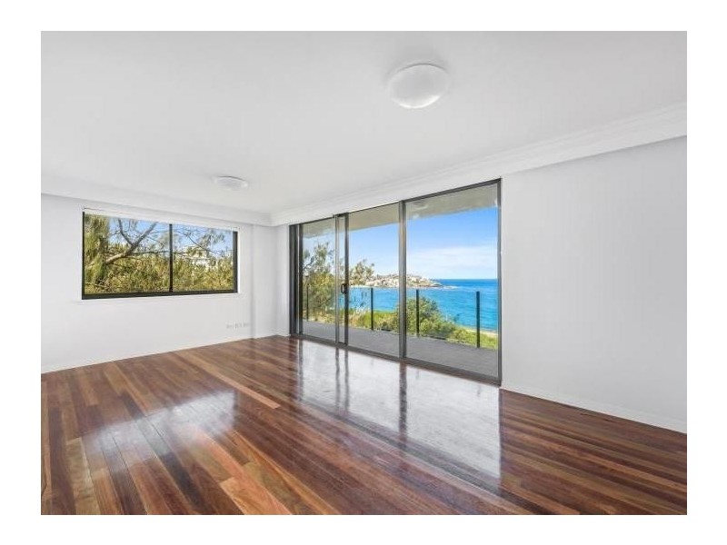 16/14 Wilga Street, Bondi NSW 2026
