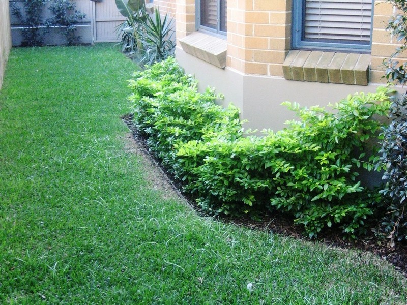 3/86-92 Doncaster Avenue, Randwick NSW 2031