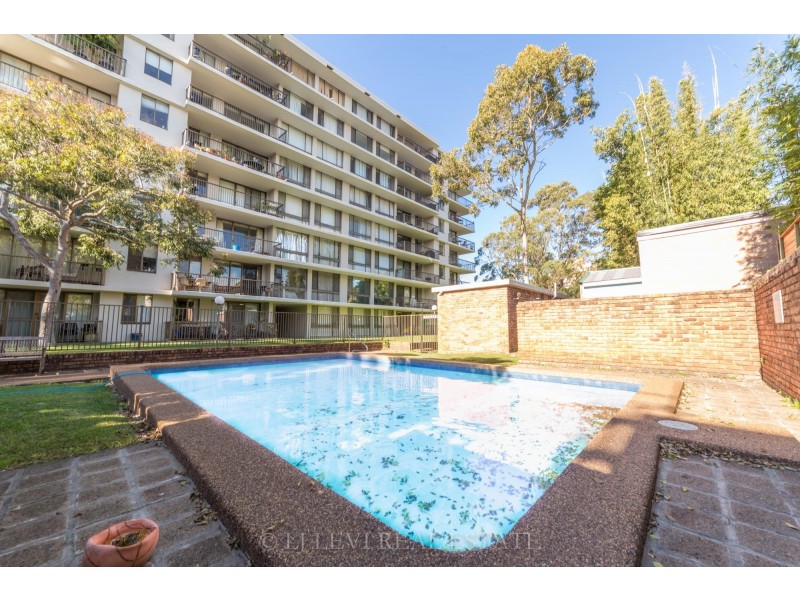 47/53 Penkivil Street, Bondi NSW 2026