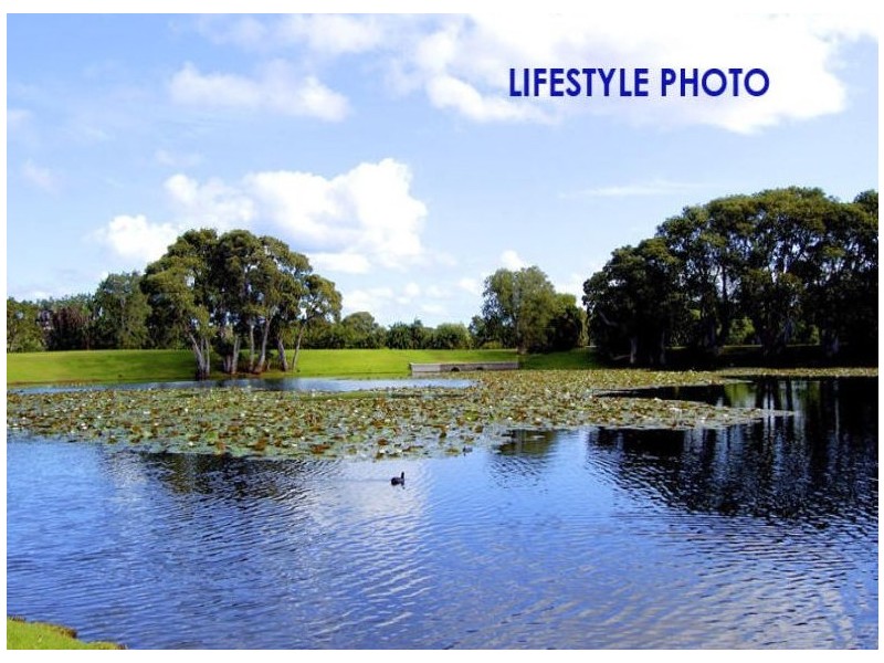 460/60 Cook Road, Centennial Park NSW 2021