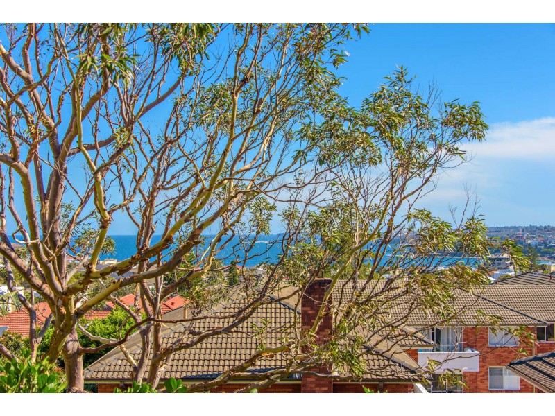3/44 Military Road, North Bondi NSW 2026
