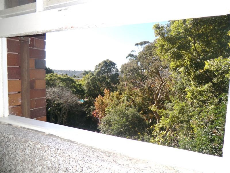 8/88 Drumalbyn Road, Bellevue Hill NSW 2023