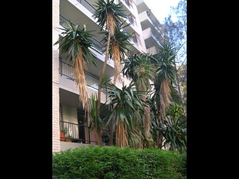 8C/6 Hampden Street, Paddington NSW 2021