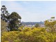 14/4 Mitchell Road, Darling Point NSW 2027