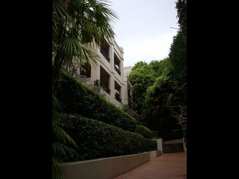 3/11 Young Street, Paddington NSW 2021