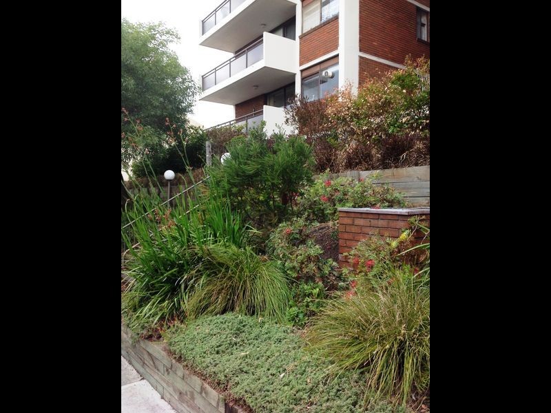 12/21-25 Woodstock Street, Bondi NSW 2026